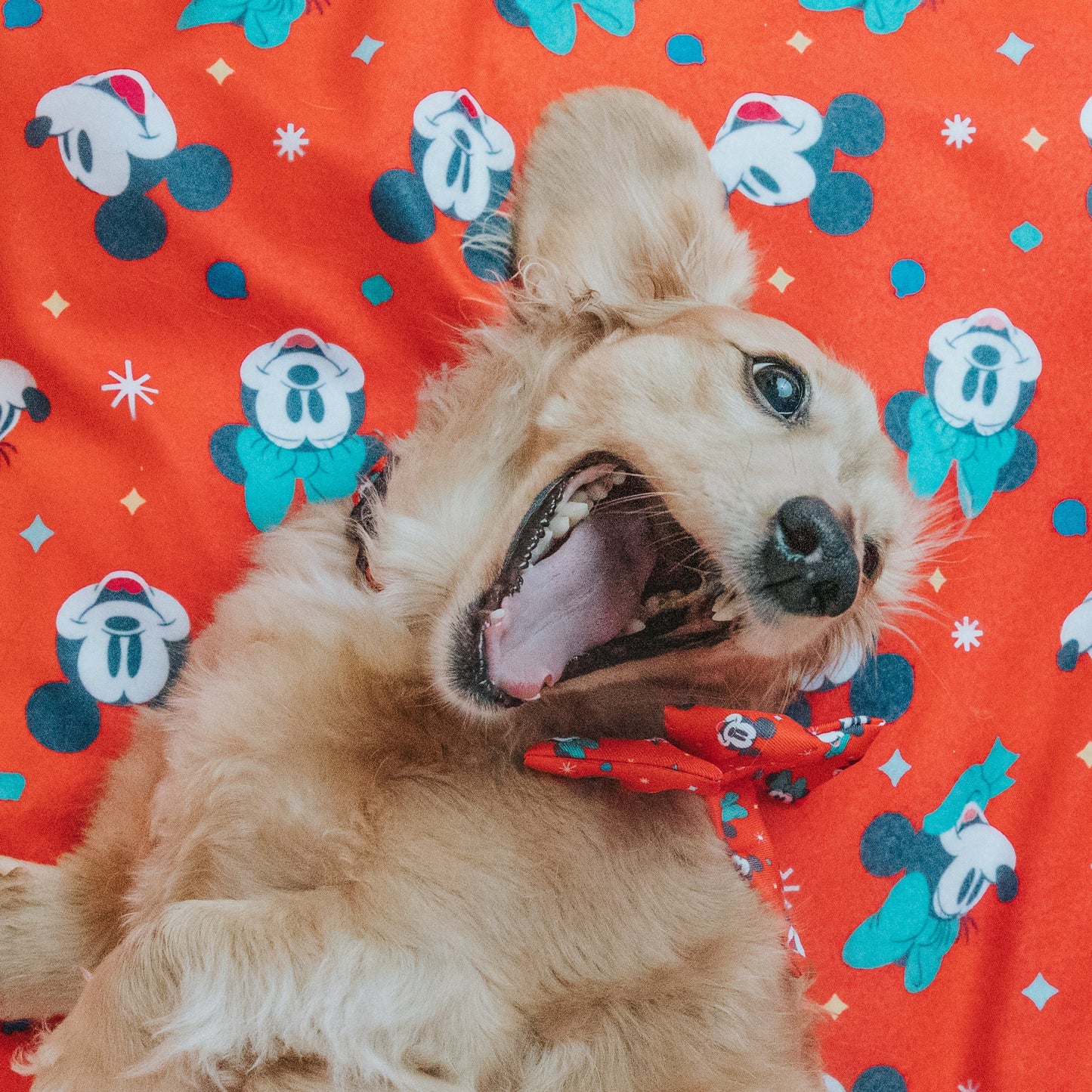 Pet Blanket - Disney Holiday Collection