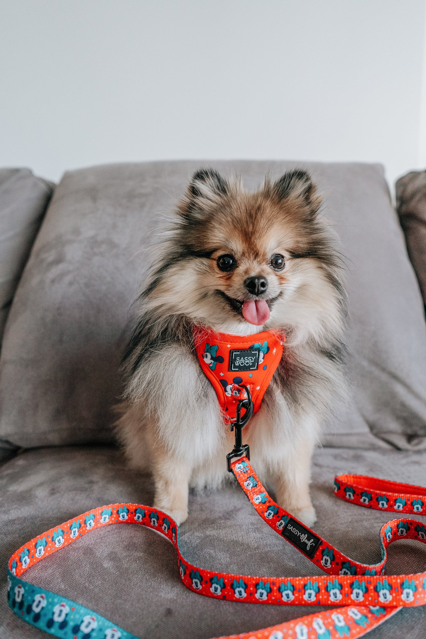 Dog Two Piece Bundle -  Disney Holiday Collection