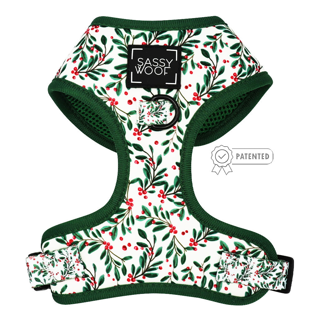 Dog Four Piece Bundle - Under the Mistletoe