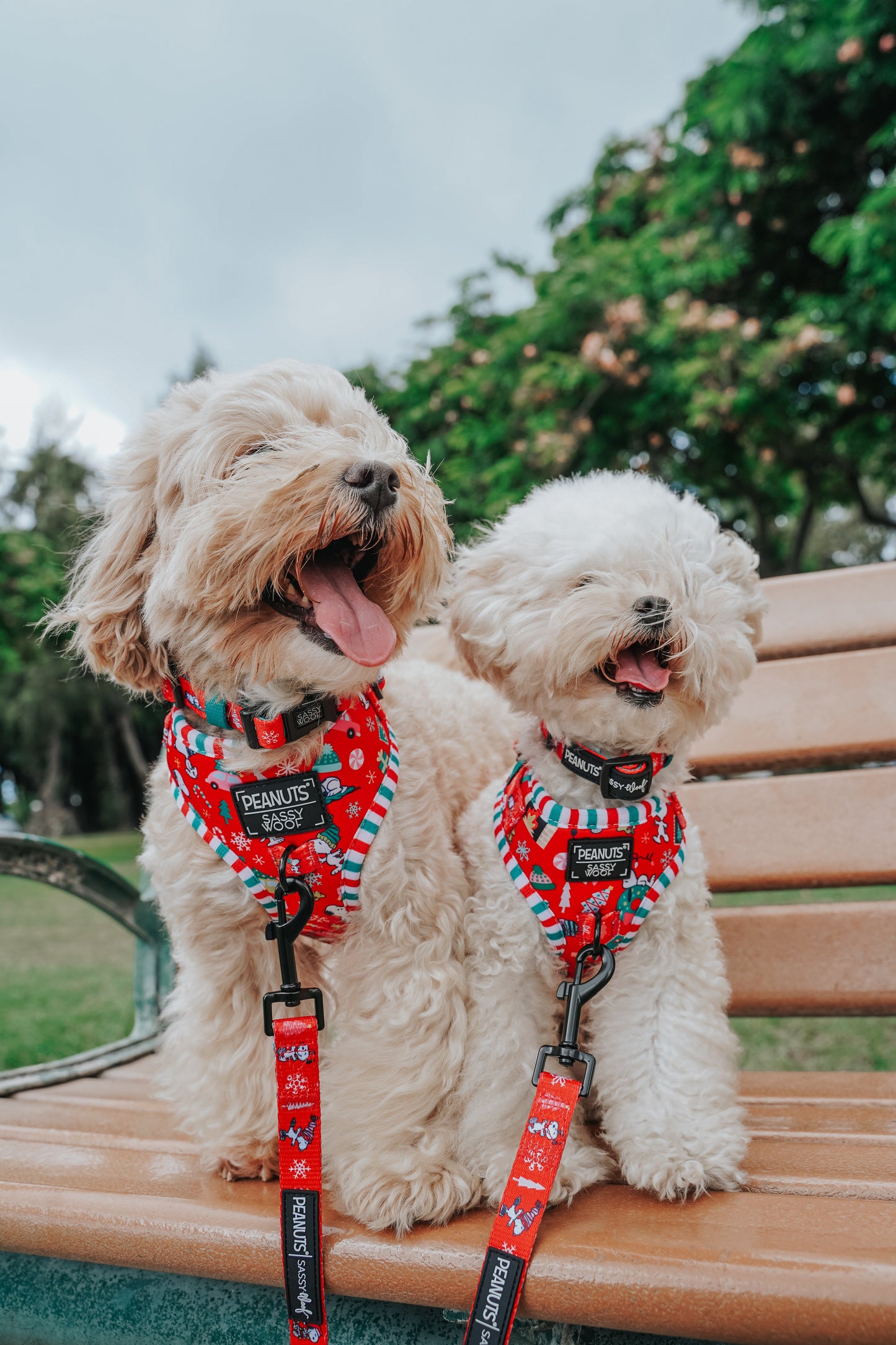 Dog Collar Three Piece Bundle - Peanuts™ Beagle Bells