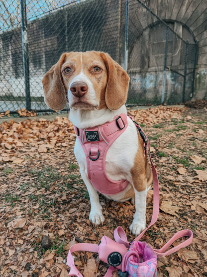 Dog Four Piece Bundle - Dusty Rose