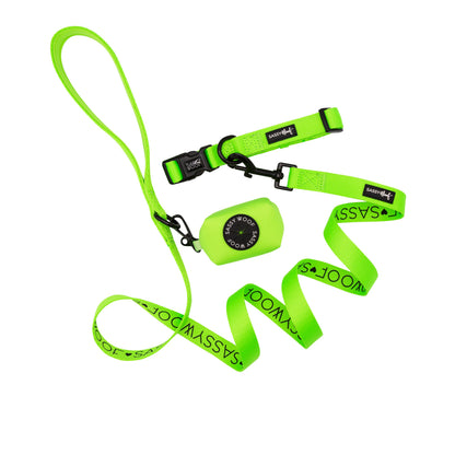 Dog Collar Three Piece Bundle - Neon Green