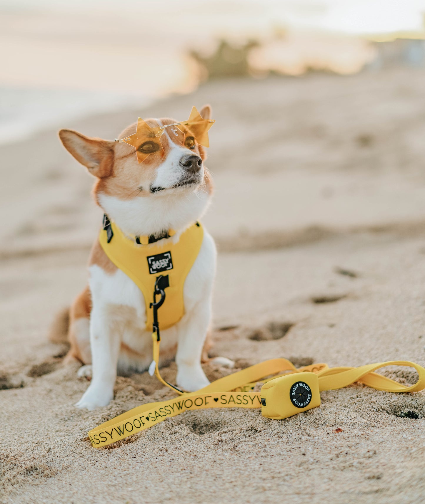 Dog Four Piece Bundle - Neon Yellow