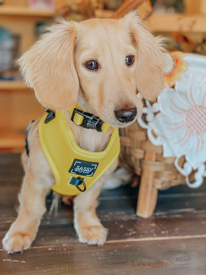 Dog Adjustable Harness - Neon Yellow