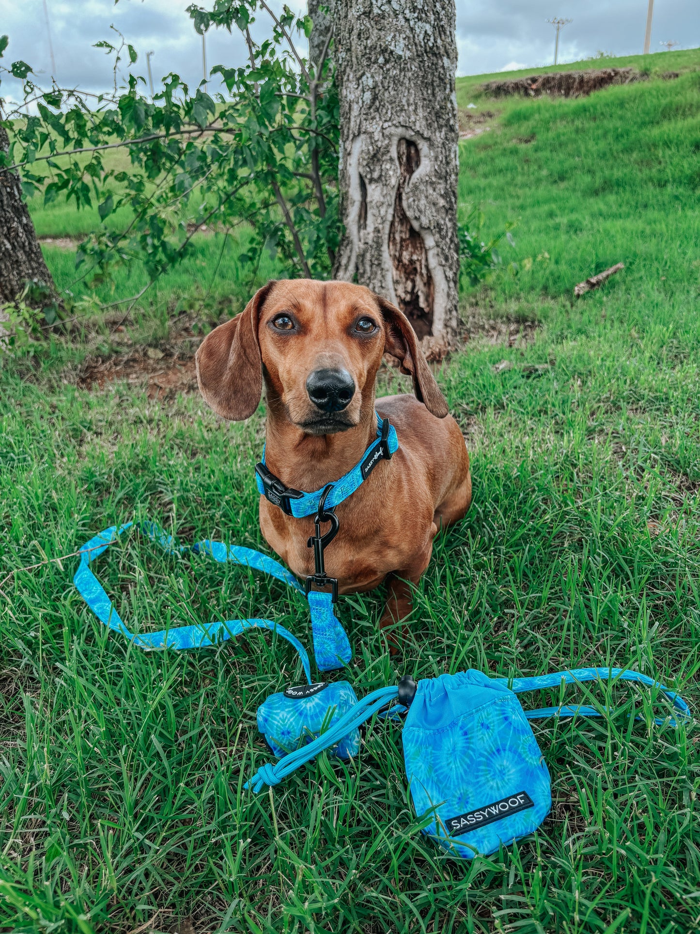 Dog Three Piece Bundle - Tropical Tides