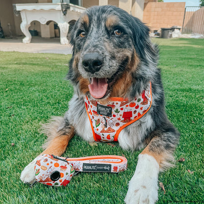 Dog Waste Bag Holder - Peanuts™ Harvest