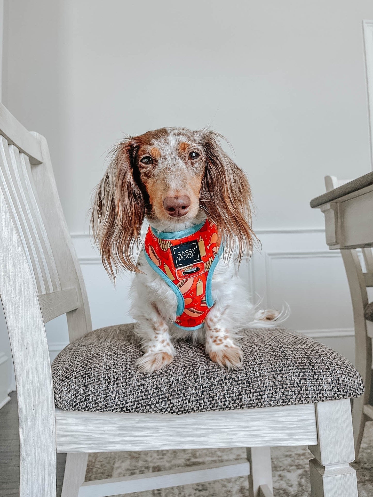 Dog Reversible Harness - One Hot Pupperoni
