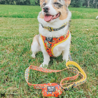 Dog Four Piece Bundle - Wonder Woman™