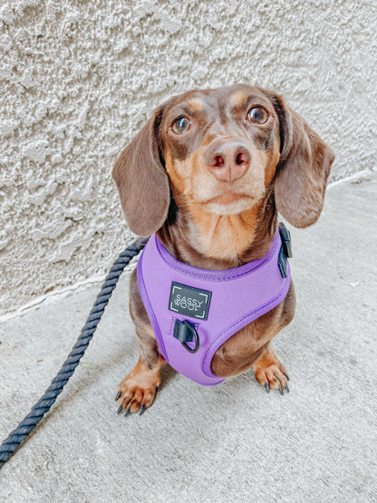 Dog Adjustable Harness - Neon Purple