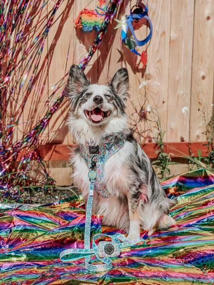 Dog Two Piece Bundle - Pup Pup Hooray
