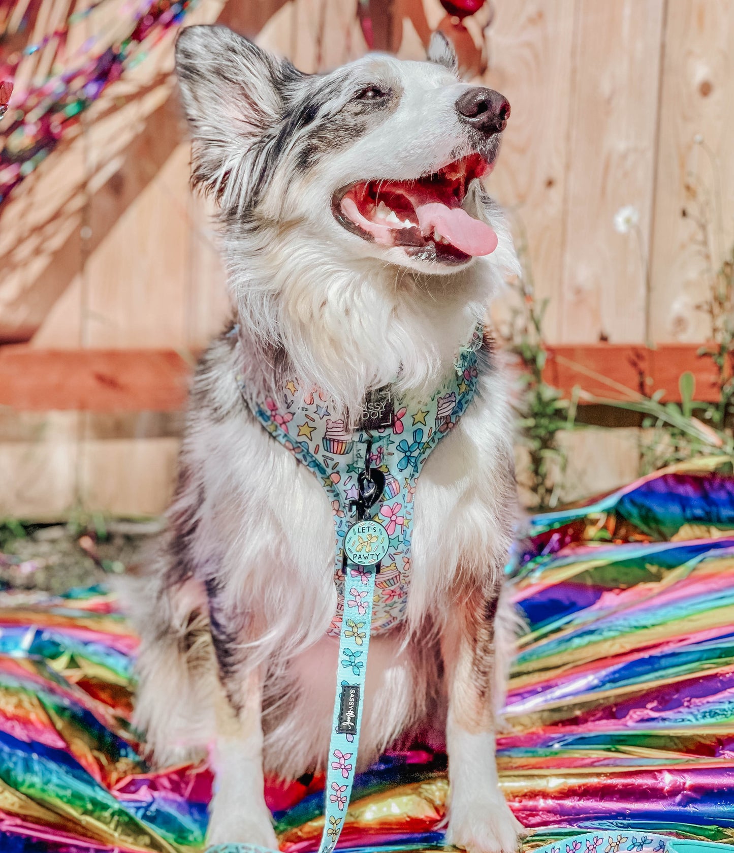 Dog Two Piece Bundle - Pup Pup Hooray