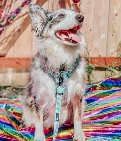 Dog Two Piece Bundle - Pup Pup Hooray