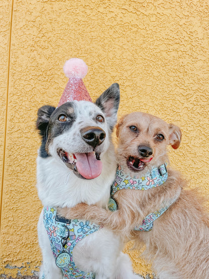 Dog Two Piece Bundle - Pup Pup Hooray