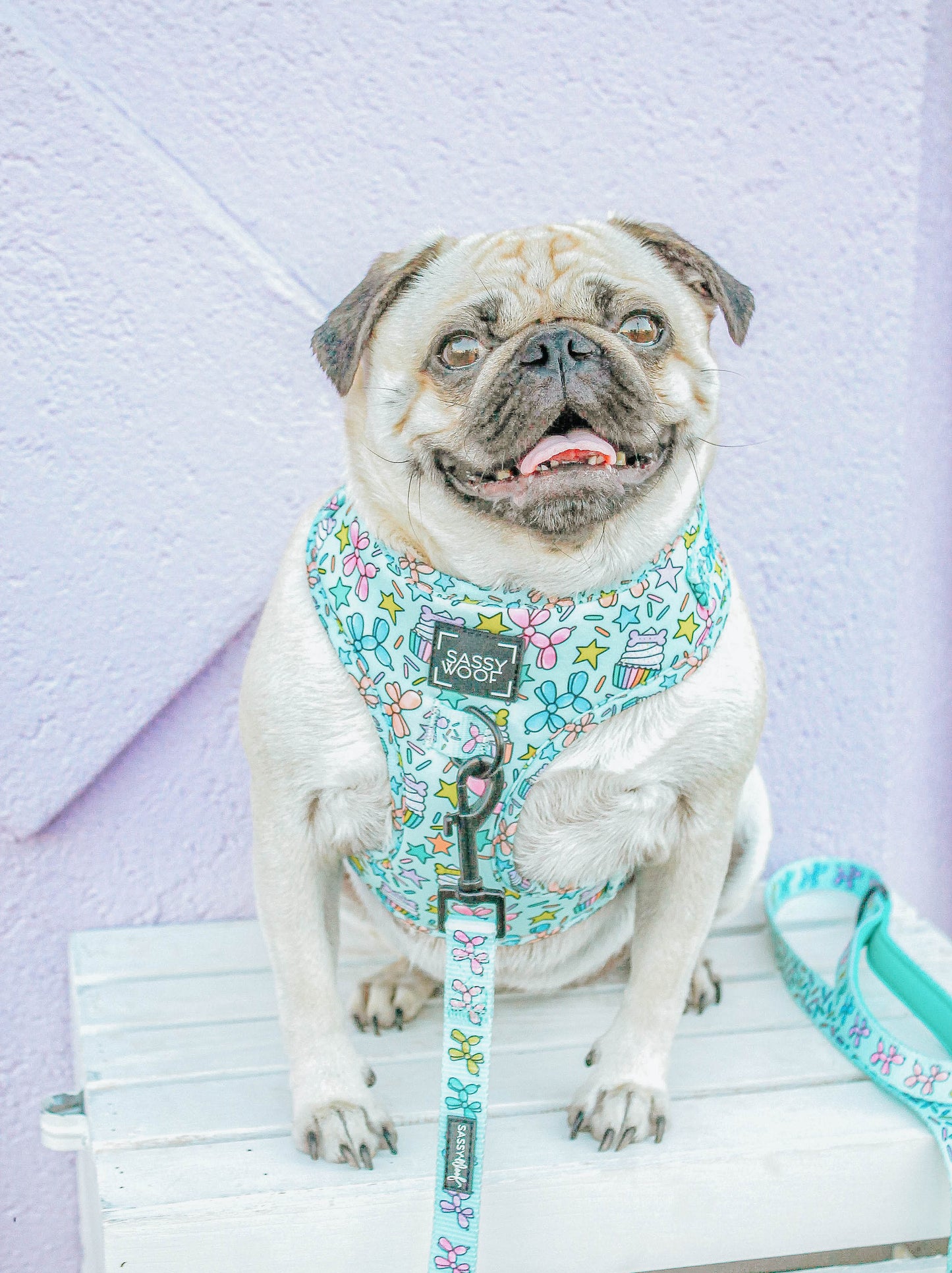 Dog Two Piece Bundle - Pup Pup Hooray