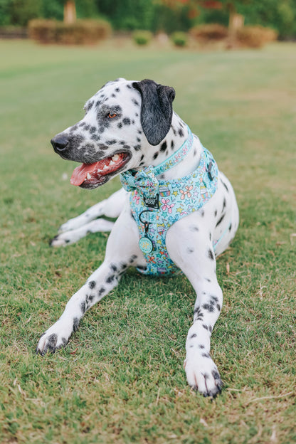 Dog Two Piece Bundle - Pup Pup Hooray