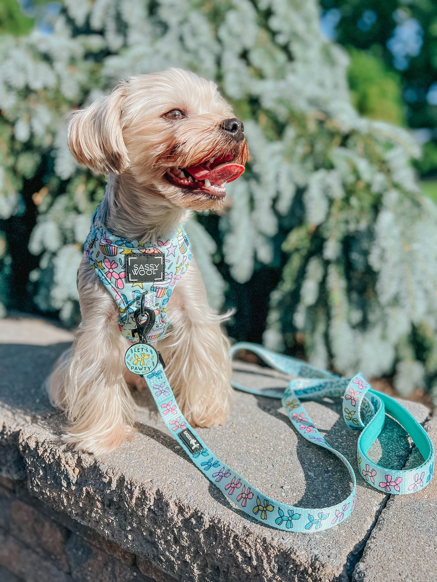Dog Two Piece Bundle - Pup Pup Hooray