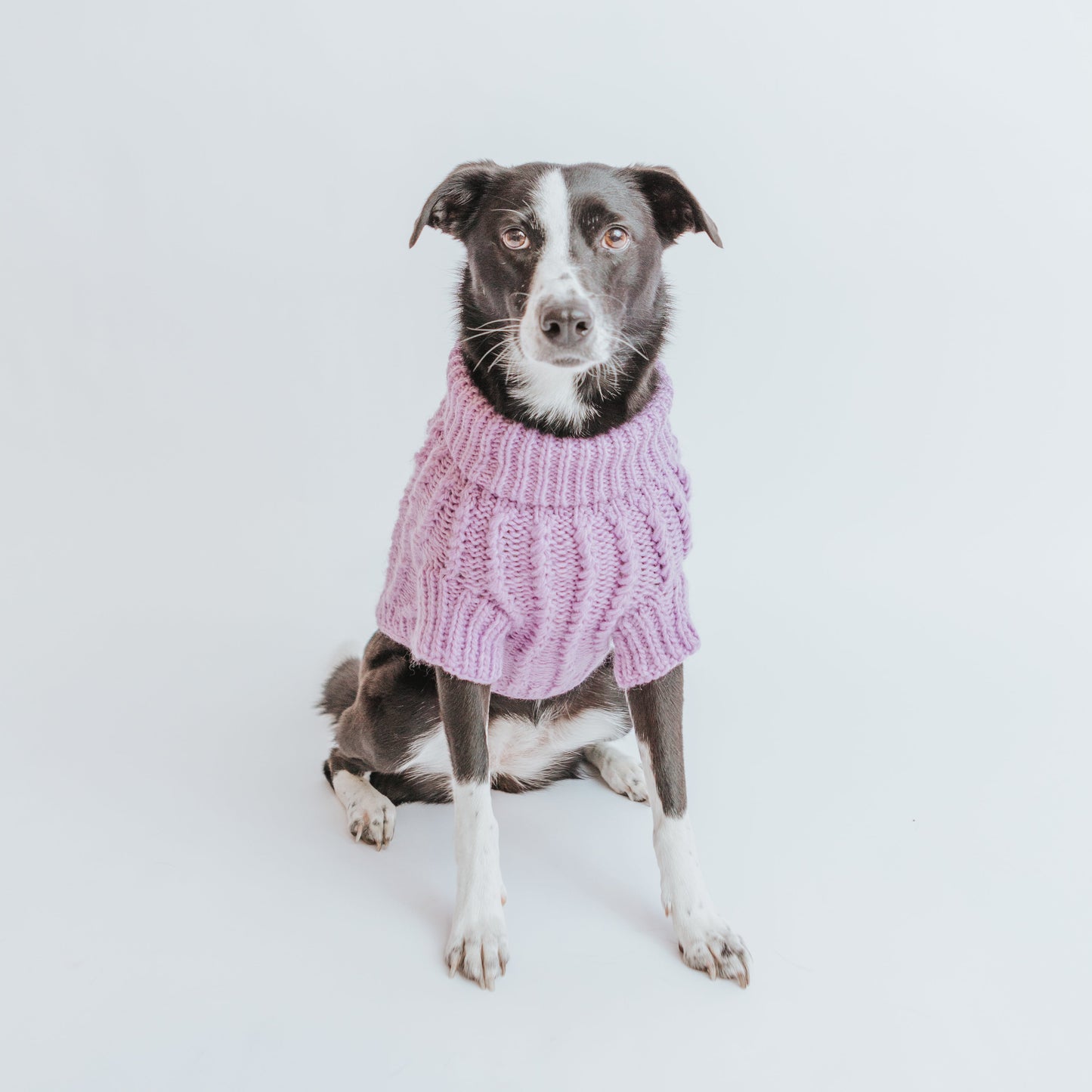 Pet Cable Knit Sweater - Lavender