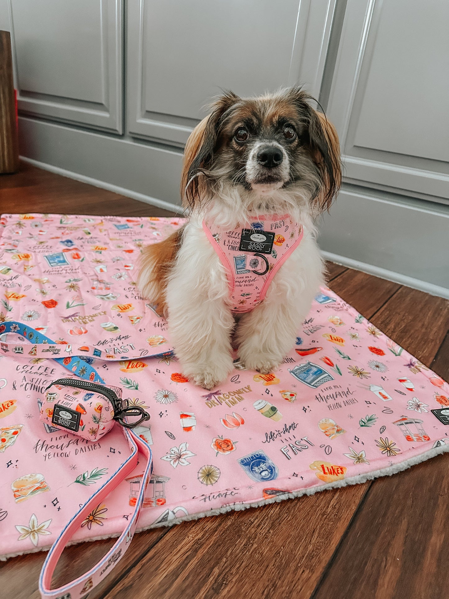 Dog Collar Three Piece Bundle - Gilmore Girls™