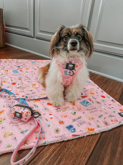 Dog Collar Three Piece Bundle - Gilmore Girls™