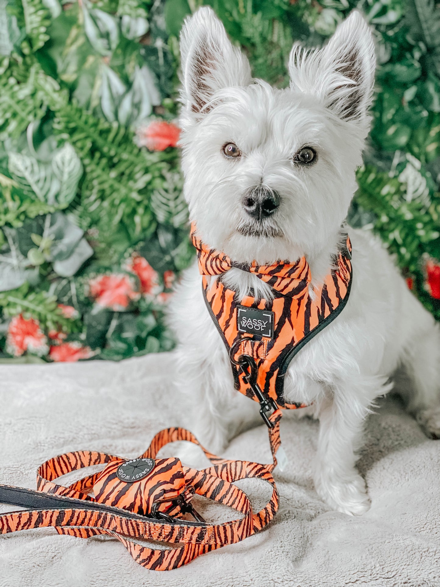 Dog Bowtie - Paw of the Tiger