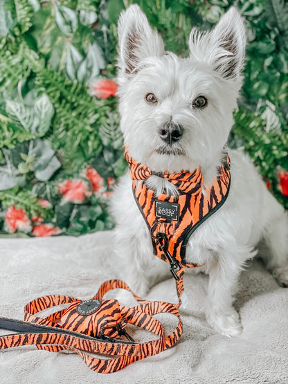 Dog Bowtie - Paw of the Tiger
