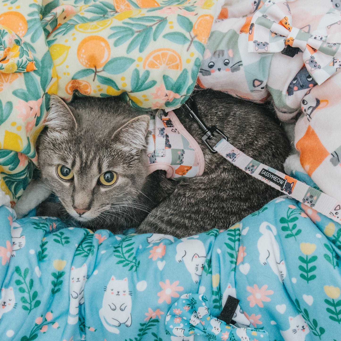 Pet Blanket - Purrs & Petals