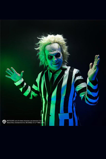 Beetlejuice Deluxe Injection Mask