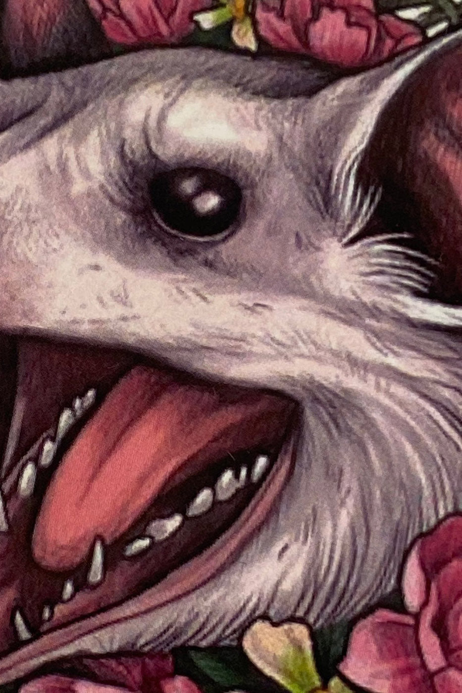Blossom Possum Sticker
