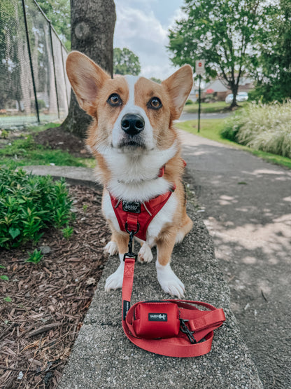 Dog Two Piece Bundle - Burgundy