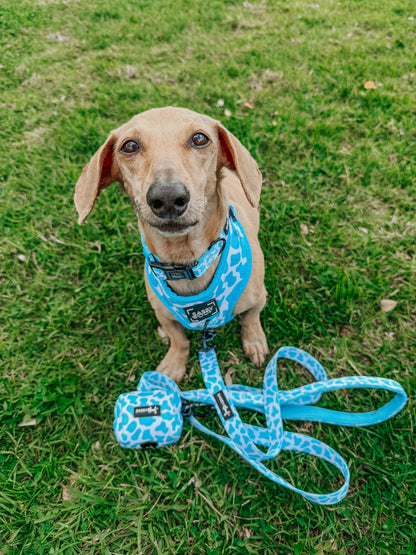 Dog Four Piece Bundle - Blueberry Milk
