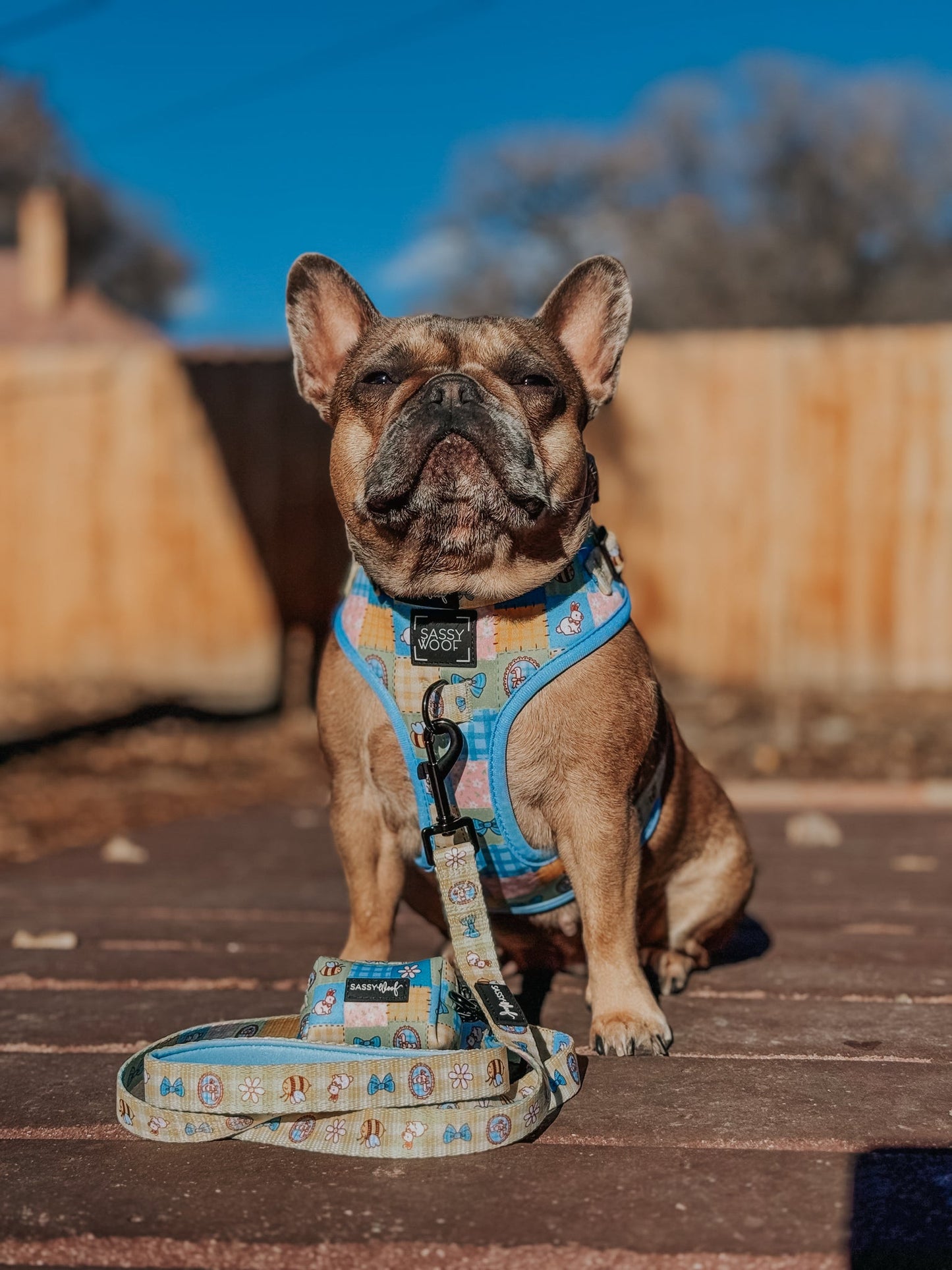 Dog Two Piece Bundle - Patch Perfect