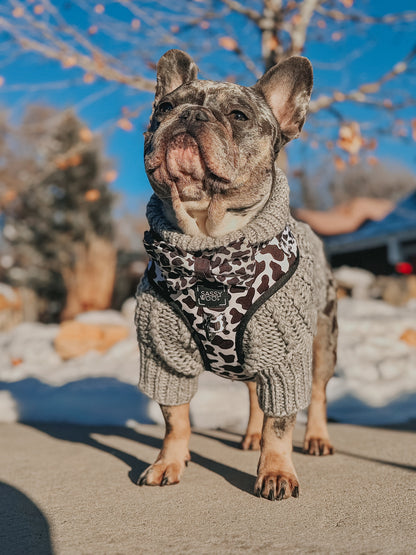 Pet Cable Knit Sweater - Gray