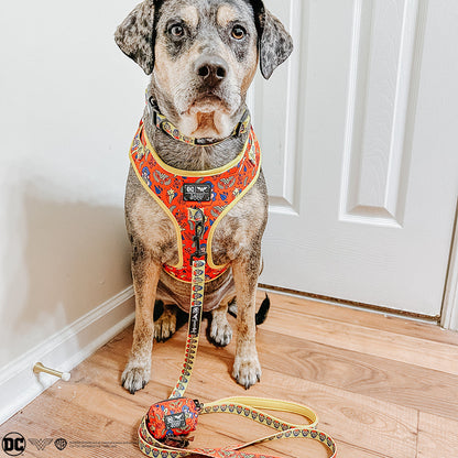 Dog Four Piece Bundle - Wonder Woman™