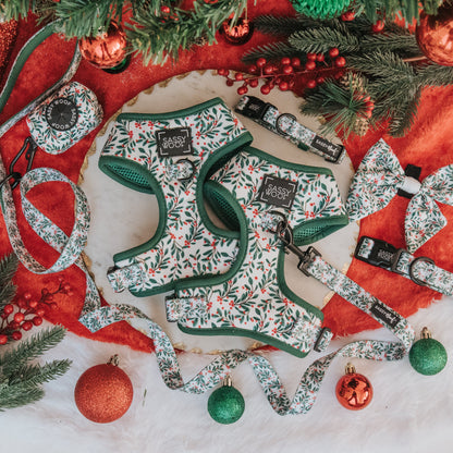 Dog Four Piece Bundle - Under the Mistletoe