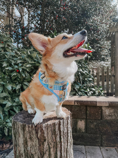 Dog Two Piece Bundle - Patch Perfect
