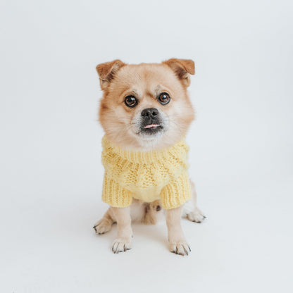 Pet Cable Knit Sweater - Yellow