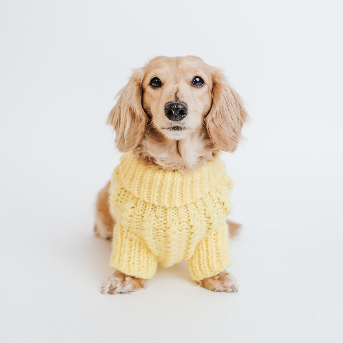 Pet Cable Knit Sweater - Yellow
