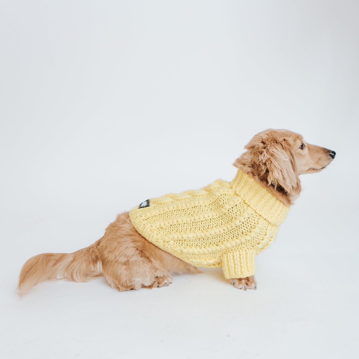 Pet Cable Knit Sweater - Yellow