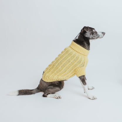 Pet Cable Knit Sweater - Yellow