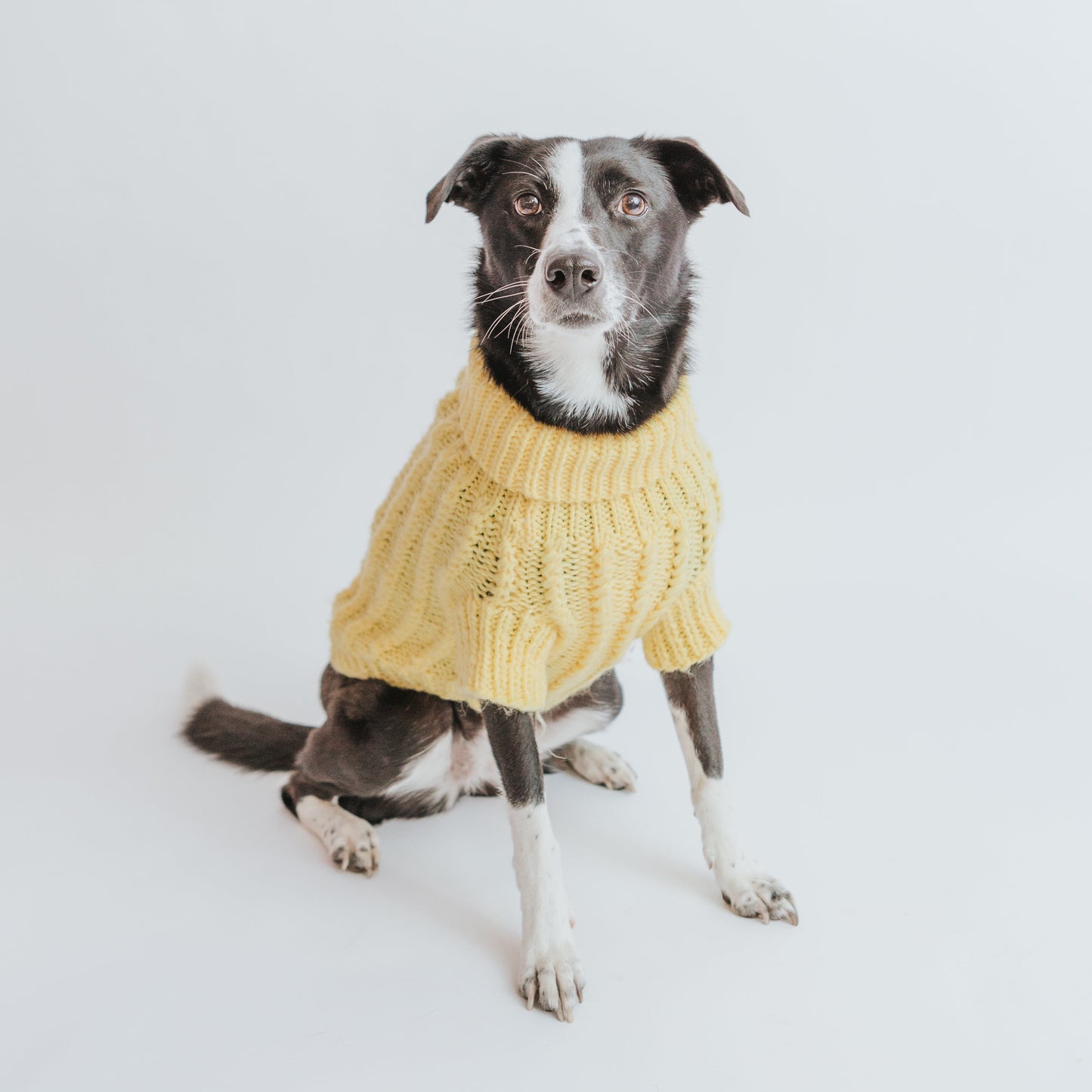 Pet Cable Knit Sweater - Yellow
