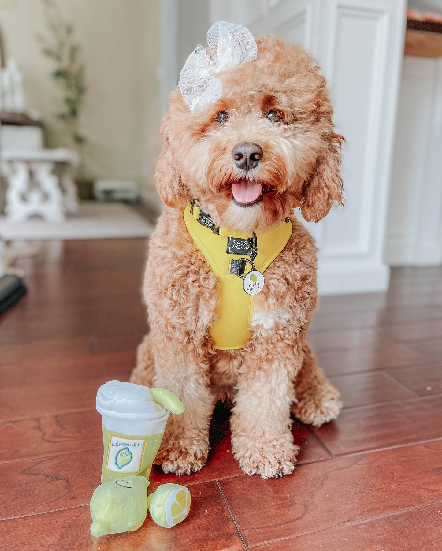 Dog Four Piece Bundle - Neon Yellow