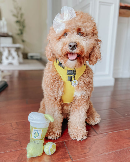 Dog Adjustable Harness - Neon Yellow