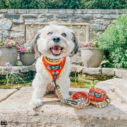 Dog Four Piece Bundle - Wonder Woman™