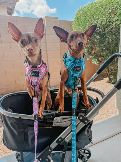 Dog Two Piece Bundle - Purple Haze
