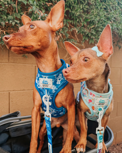 Dog Adjustable Harness - Care Bears™ Grumpy Bear